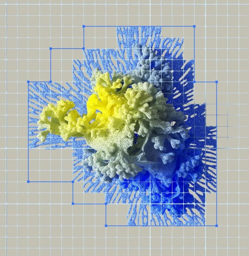 Coral-Struktur in Gelb und Blau mit Wireframe-Boxen — Visualisierung für Pricing-Architektur